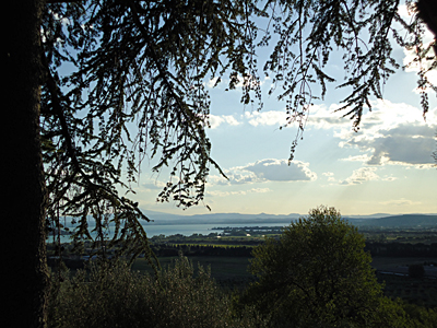 tosk2015-05498