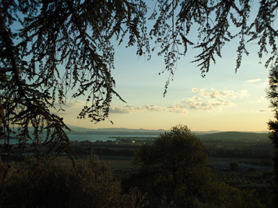 tosk2015-05500