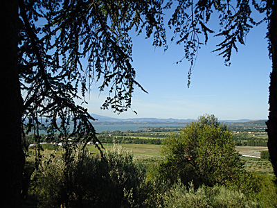 tosk2015-05509