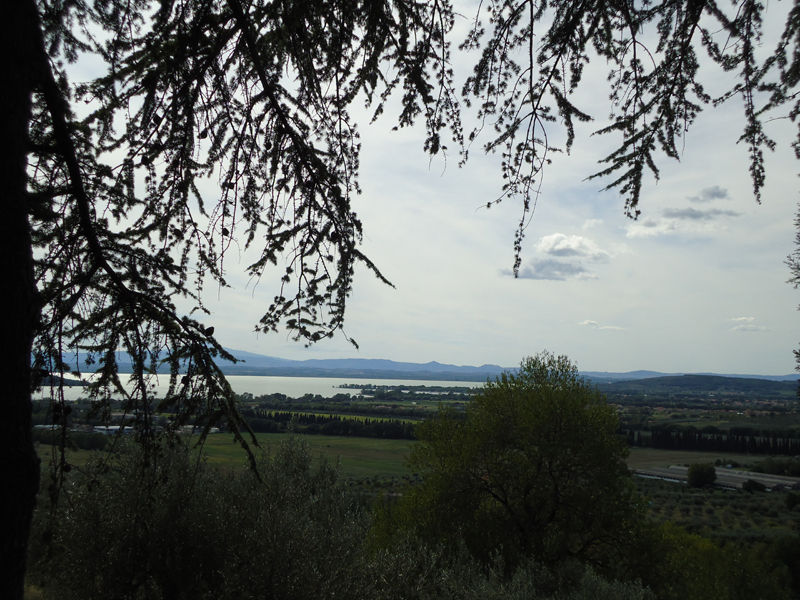 tosk2015-05513