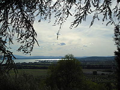 tosk2015-05515