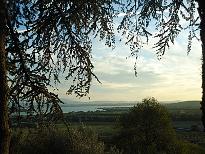 tosk2015-05518