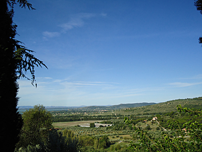tosk2015-05528