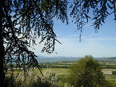tosk2015-05529