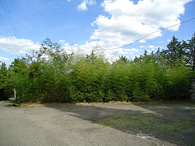 tosk2015-05550