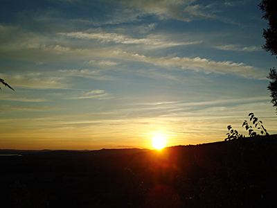 tosk2015-05575