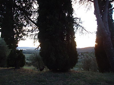 tosk2015-05579