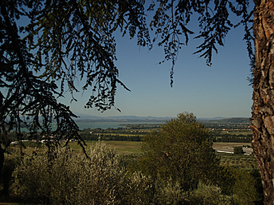 tosk2015-05589