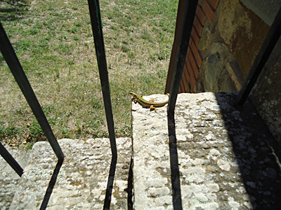 tosk2015-05592