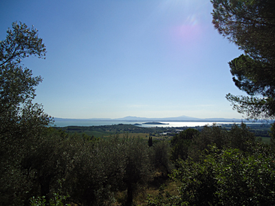 tosk2015-05594