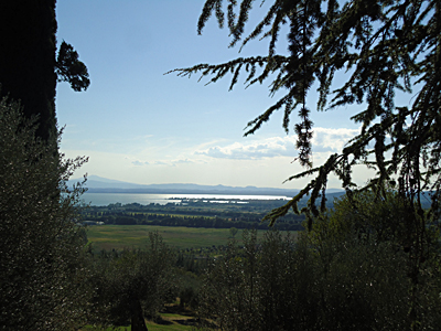 tosk2015-05596
