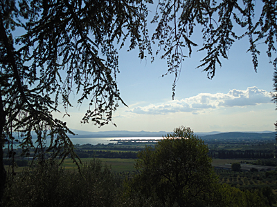 tosk2015-05597