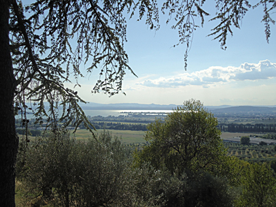 tosk2015-05598