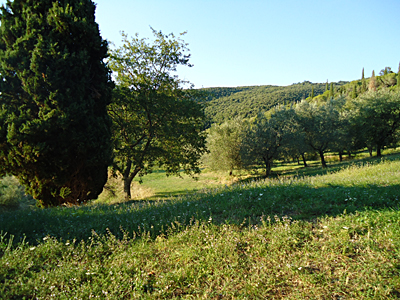tosk2015-05601