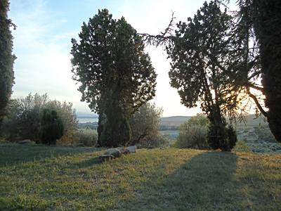 tosk2015-05605
