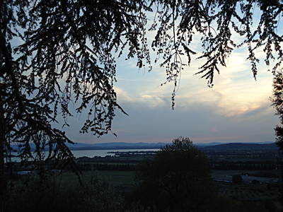 tosk2015-05612