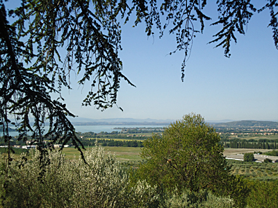 tosk2015-05616