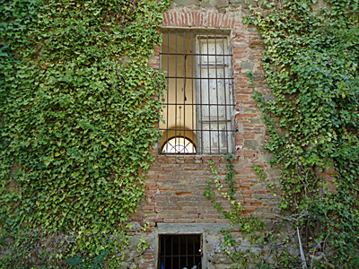 tosk2015-05636