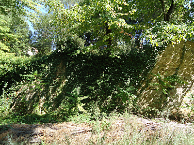 tosk2015-05638
