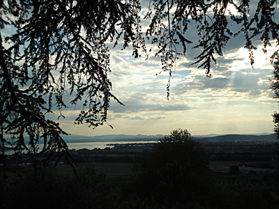 tosk2015-05650