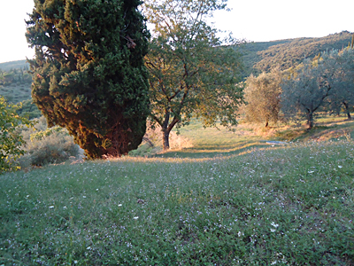 tosk2015-05654