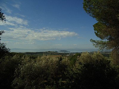 tosk2015-05678