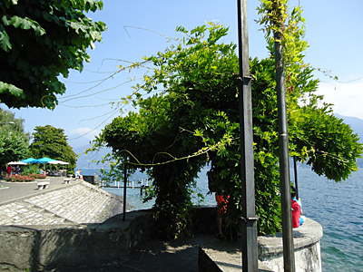 tosk2016-06144