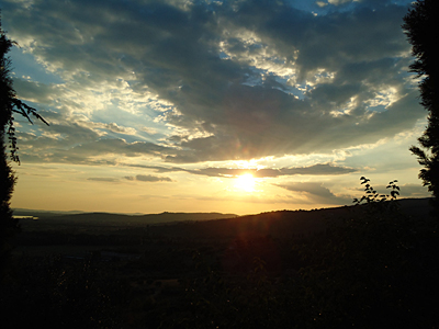 tosk2016-06316