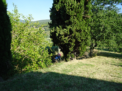 tosk2016-06326