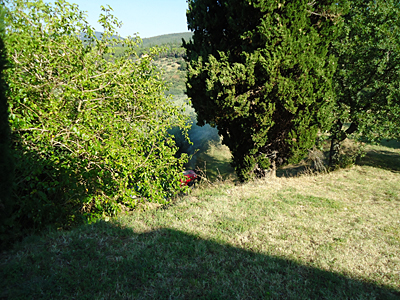 tosk2016-06327