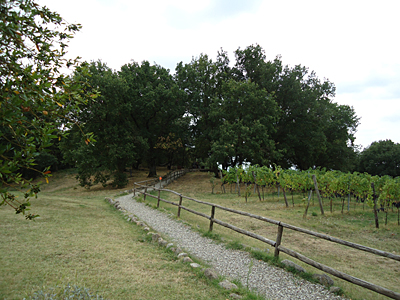 tosk2016-06358