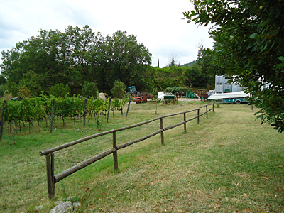 tosk2016-06359