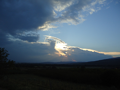 tosk2016-06375
