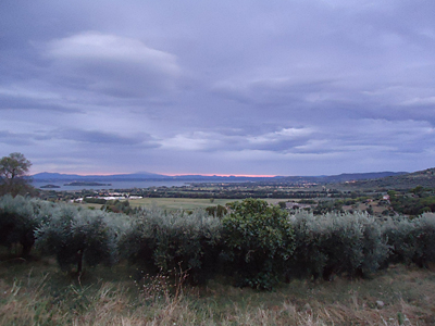 tosk2016-06388