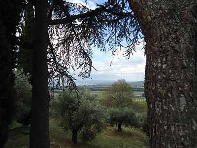 tosk2016-06389