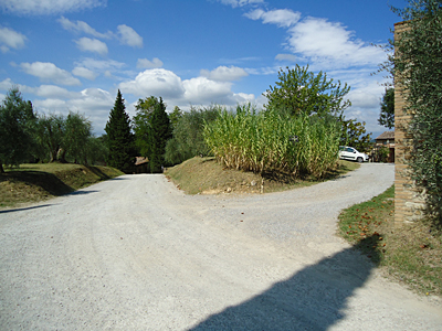 tosk2016-06392