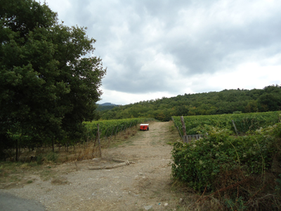 tosk2016-06398