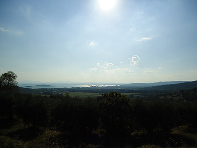 tosk2016-06418
