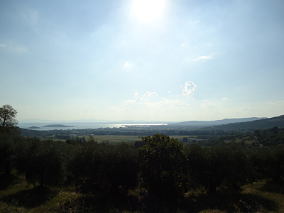tosk2016-06419