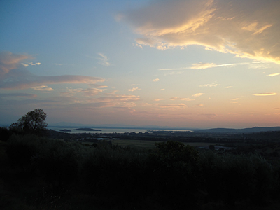 tosk2016-06488