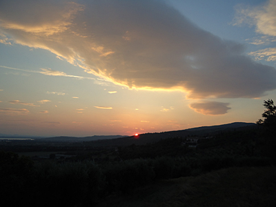 tosk2016-06490