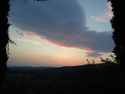 tosk2016-06492