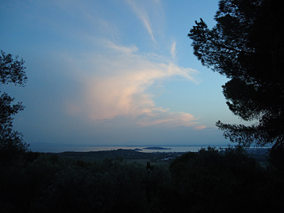 tosk2016-06526