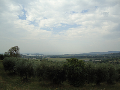 tosk2016-06532