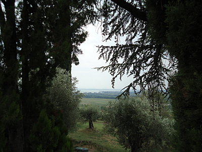 tosk2016-065393