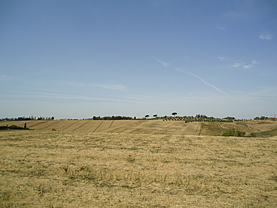 tosk2017-6977