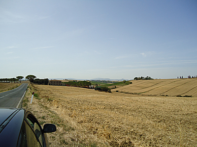 tosk2017-6982