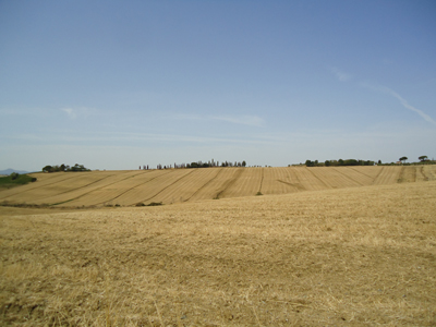 tosk2017-6983