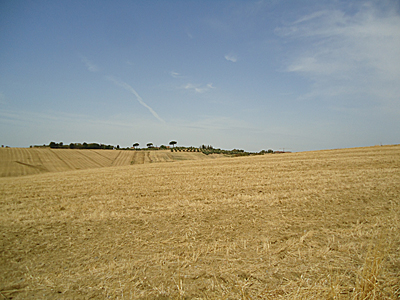 tosk2017-6984