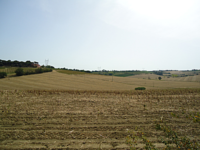 tosk2017-6986